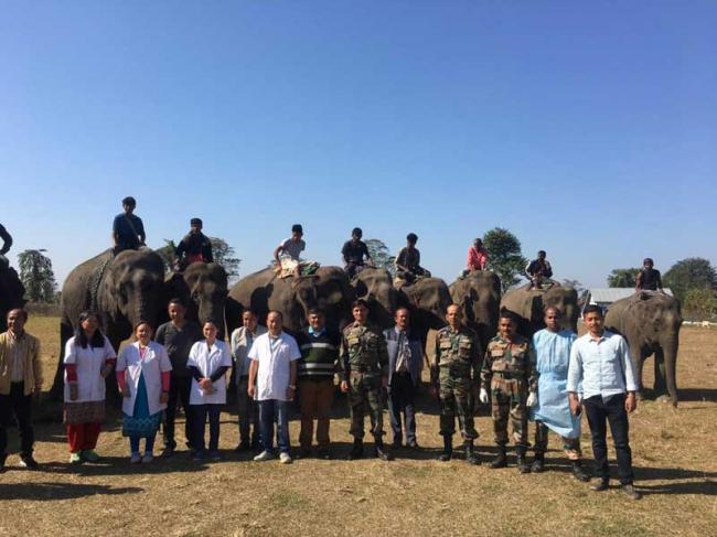 Army organises veterinary camp in Namsai
