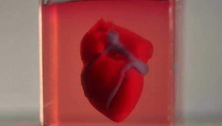 TAU scientists print first ever 3D heart using patientâ€™s own cells