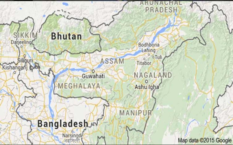 Japanese Encephalitis claims 28 lives in Assam