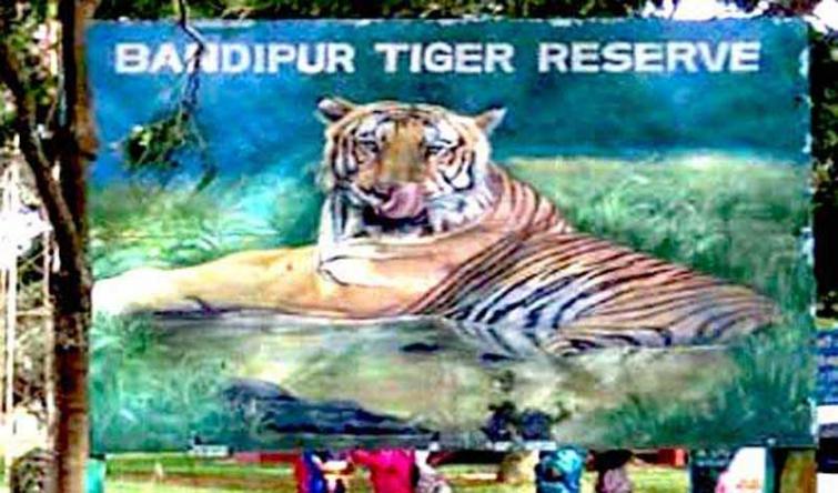 Tiger carcass found in Bandipur tiger reserve