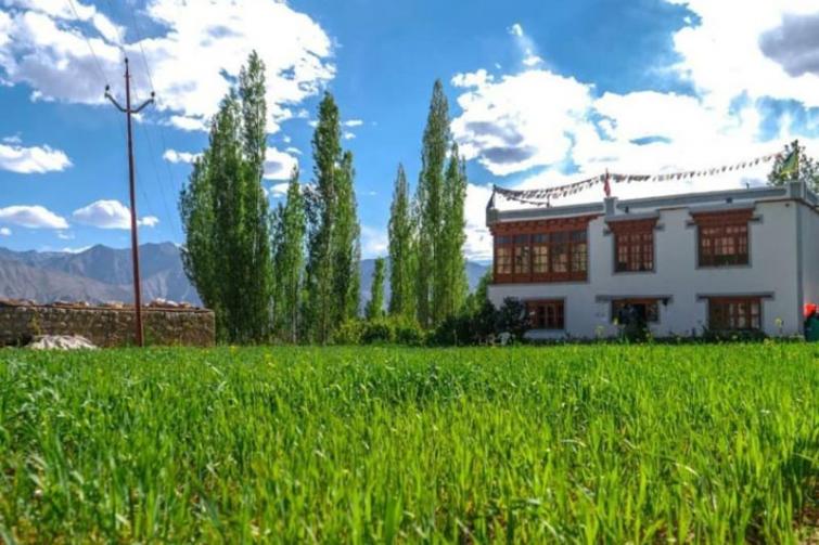 Though Leh has adapted the city-ways there is still scope in villages that give a true insight into the ecologically low-footprint lifestyle. Photo courtesy Sonam Dorjay (Himalayan Farm-stays).