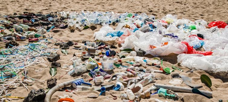 Microplastics, microbeads and single-use plastics poisoning sea life and affecting humans