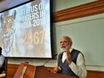 Count of Tigers in India rises to 2967; PM Narendra Modi describes this as a historic achievement