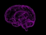 Rhythmic control of 'brain wavesâ€™ can boost memory: Study