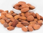 A nutty solution for improving brain health: Study