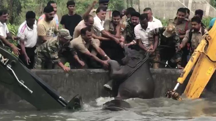 Assam: Indian army-forest personnel rescue elephant calf and mother from a water tank
