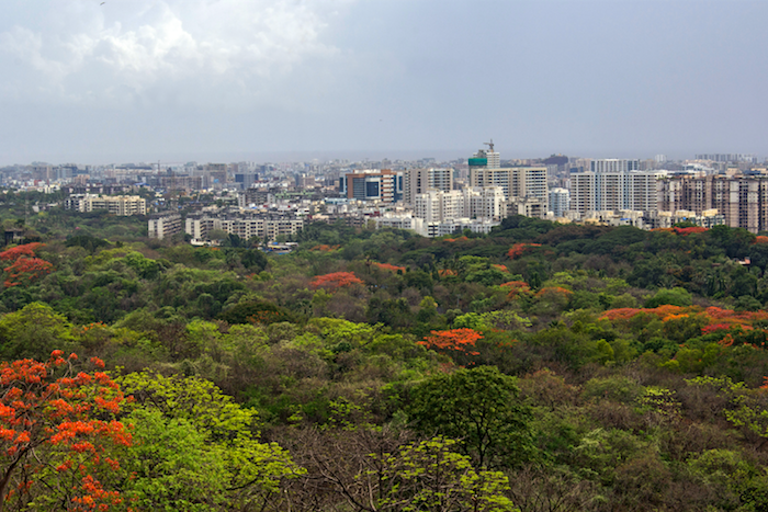 2,141 trees cut in Aarey colony: Mumbai Metro