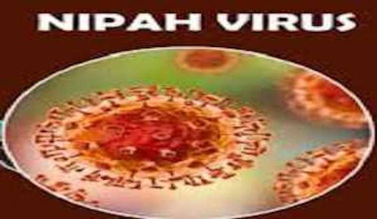 Karnataka on high alert following outbreak of Nipah virus in Kerala
