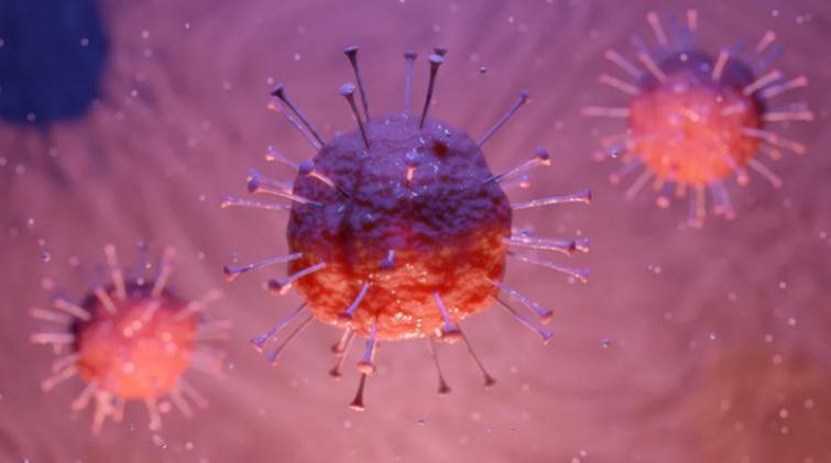 Coronavirus: No major spurt in 4 days, 94 pc test negative in Srinagar