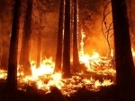 US: At least 3 people killed in California wildfire