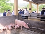 Assam CM directs state Veterinary and Forest department to work with ICAR to deal with African Swine Fever