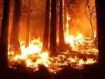 New Zealand forest fire continues