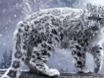 Man arrested for poaching endangered snow leopards in Mongolia