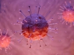 Coronavirus: No major spurt in 4 days, 94 pc test negative in Srinagar