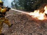 Climate change: Record northern heat, fuels concerns over US wildfire destruction