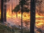 Australia wildfires: 'Mega blaze' may hit parts of the nation on Friday 