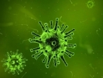 Japan allocates 94 million USD to combat novel Coronavirus