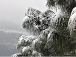 Snow engulfs major tourist spots in Himachal Pradesh