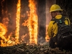 Seven people confirmed dead in wildfires in US state of Oregon