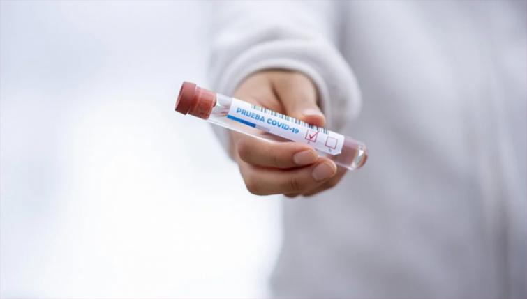 New Zealand reports zero new coronavirus cases in 24-hour period: Health Official
