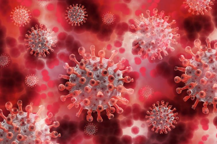 Coronavirus: Assam reports 52.87 cases in last 7 days