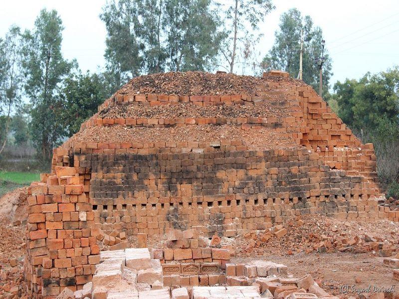 Punjab govt to adopt new technology that replaces coal with CNG in brick kilns
