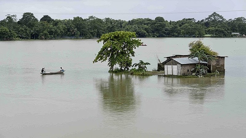 Nearly 28 lakh people hit by Assam flood, death toll rises to 95
