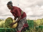 Conflict, climate change, COVID, forces more people into hunger