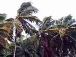 Cyclone Yaas makes landfall in Odisha, Bengal on alert 