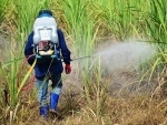 Jammu and Kashmir: Zero tolerance against spurious pesticides and fertilizers: Dir Law enforcement