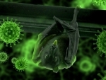Chinese researchers say they found new batch of coronavirus in bats