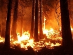 Turkey battles wildfires for 6 days in coastal resorts
