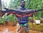 India's invasive alien fish poses threat to biodiversity hotspots