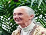 Conservationist Jane Goodall, known for groundbreaking studies on chimpanzees, awarded 2021, Templeton Prize