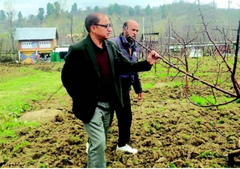 Jammu and Kashmir: Director Horticulture visits pre and post harvesting units