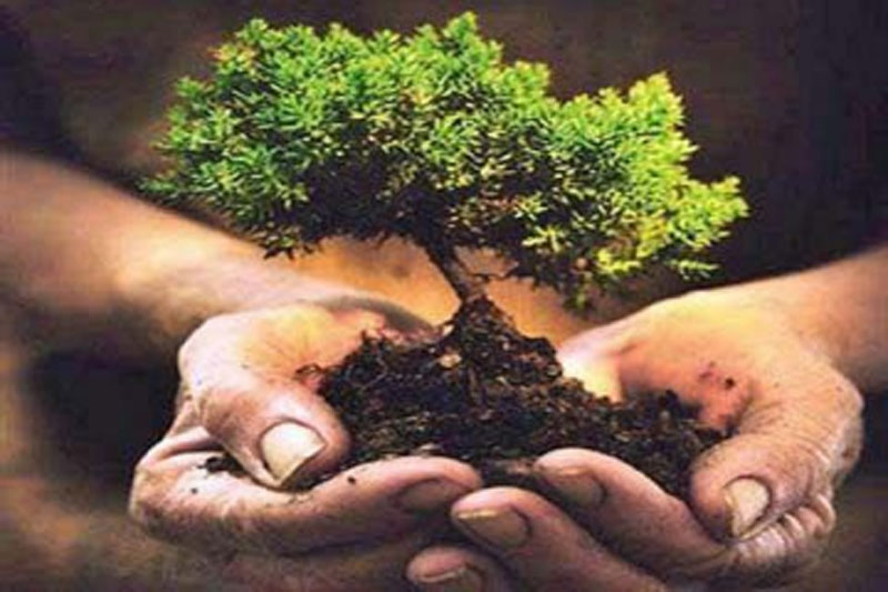 GREEN J&K DRIVE| Modalities for planting 1.3 crore trees in J&K discussed