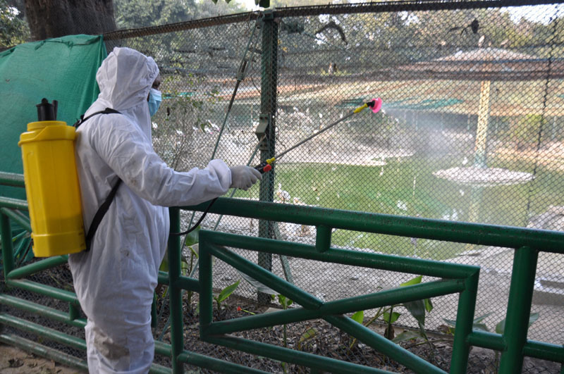 Central teams conducting epidemiological investigation in Bird Flu-hit states