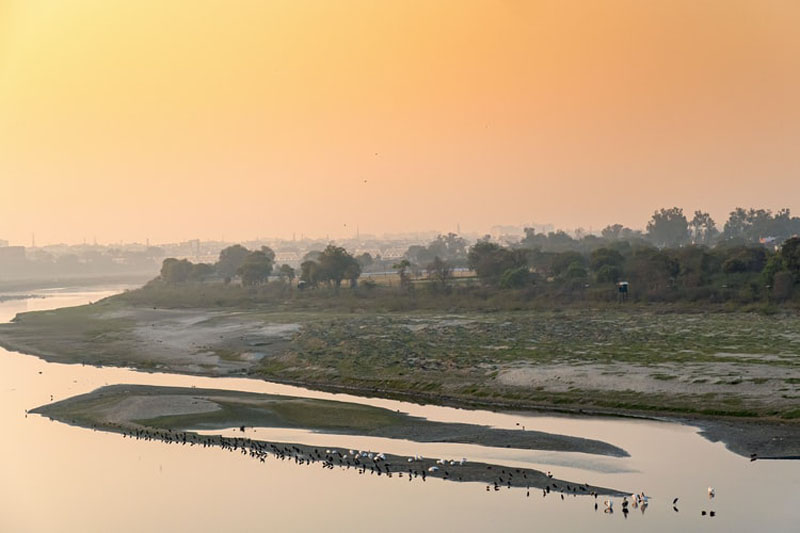 Supreme Court concerned over Yamuna river pollution, seeks NGT panel report