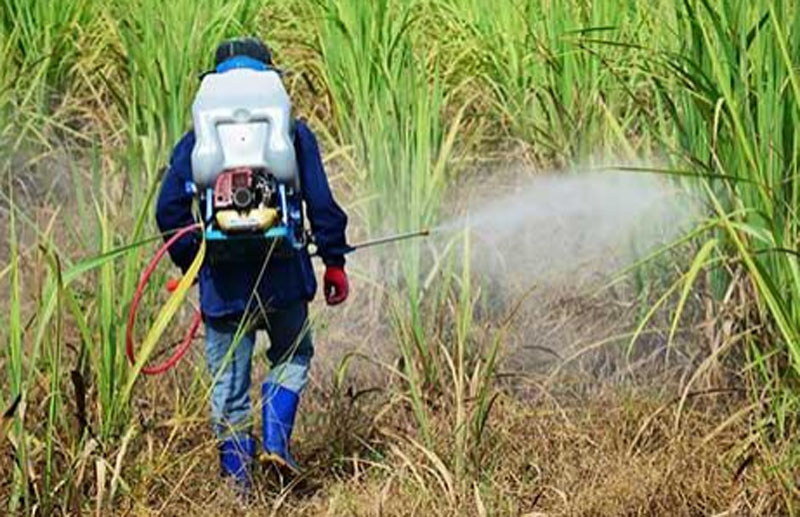 Jammu and Kashmir: Zero tolerance against spurious pesticides and fertilizers: Dir Law enforcement