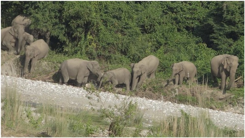 The birth of Raimona, Assam’s sixth national park