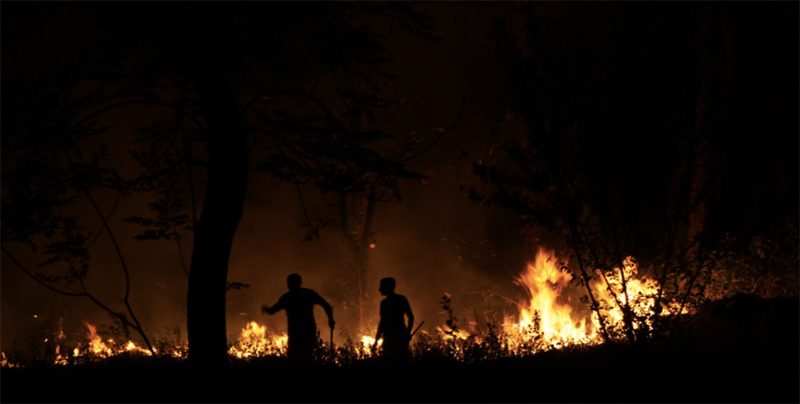 Record number of forest fires imperil Himachal’s ecology