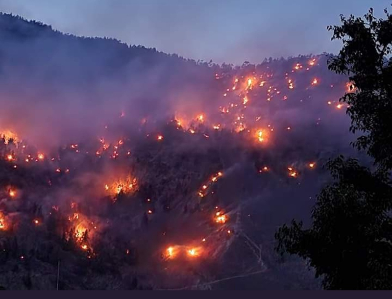 Fire in a forest area near the Jangi village of Himachal’s Kinnaur district on June 12. Photo by special arrangement.