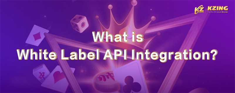 What is White Label API Integration?