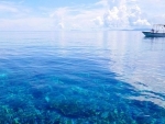 Teaching key to better ocean protection, says UNESCO chief
