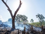 Natural resources must be ‘part of the solution’ in fight against deforestation