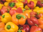 Jammu and Kashmir: Sher-e-Kashmir varsity researchers introduce multi-coloured capsicums which promises to have high medical values