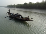 Sunderbans: Clear and Present Danger