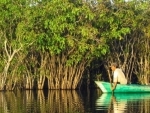 Global awareness critical to protect world’s mangroves: UN science chief