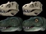 Dinosaurs evolved different eye socket shapes to allow stronger bites: Study