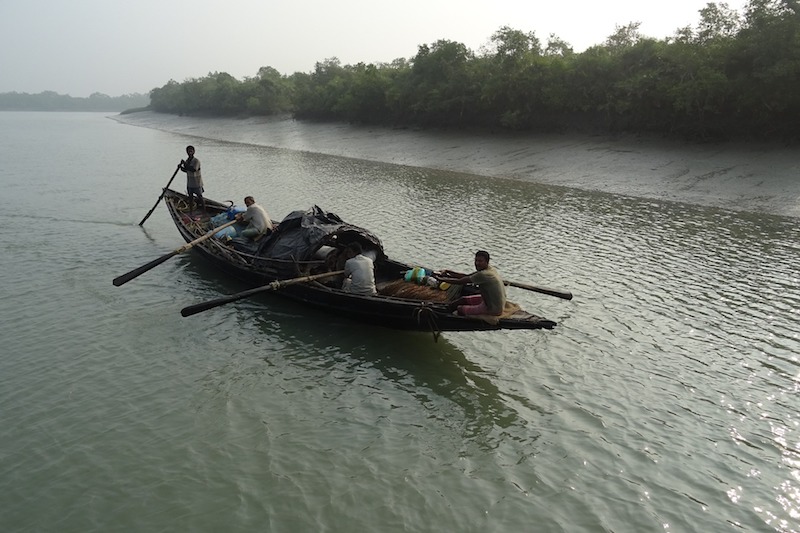 Sunderbans: Clear and Present Danger